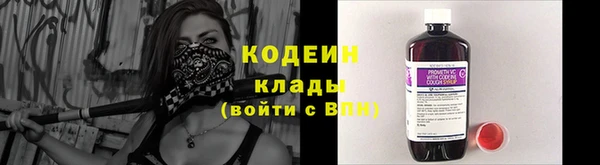 дживик Абаза