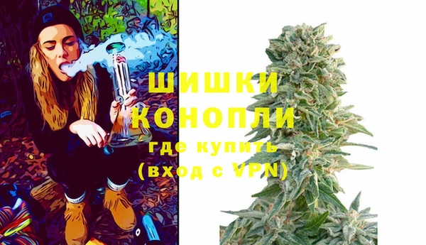 дживик Абаза
