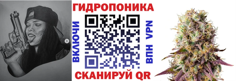 Канабис конопля  как найти закладки  Исилькуль 